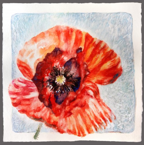 A poppy III, watercolor and acrylic on paper, 60x60 cm.